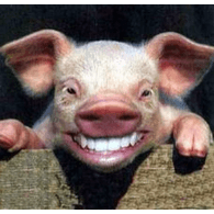 PIGZ- emblem