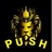 PUSH_ emblem