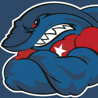 -WSH emblem