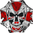 RSP4D emblem