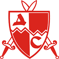 DS89 emblem