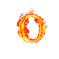 OPAKI emblem