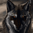 D_W_N emblem