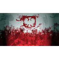 P_M_A emblem