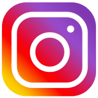 INSTA emblem