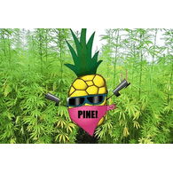 PINE emblem