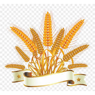 MNZRS emblem