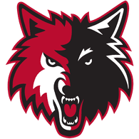 -BKW- emblem