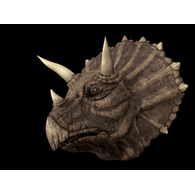 HOBB emblem
