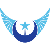 TF-51 emblem