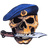 IWARI emblem
