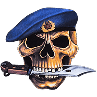 IWARI emblem