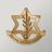 _IDF emblem