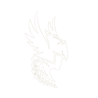 VALKI emblem