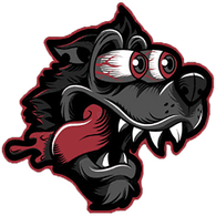 LVLYC emblem