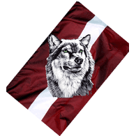AMJO emblem