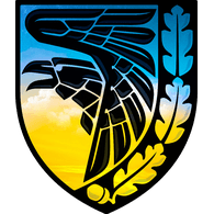 TOP4K emblem
