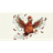 C_W emblem