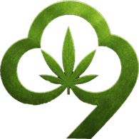 CN420 emblem