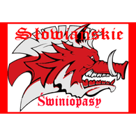 SLOWI emblem