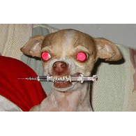 BO0ST emblem