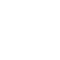BAR8 emblem