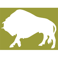 -P-DP emblem