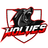 VOLFX emblem