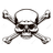 IPSM emblem