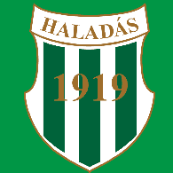 HFANS emblem