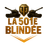 501B emblem