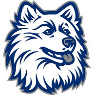 CZ-CZ emblem