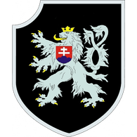 DG-CS emblem