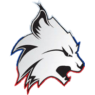 2STD emblem