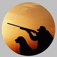 7A7 emblem