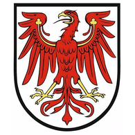 LAZ emblem