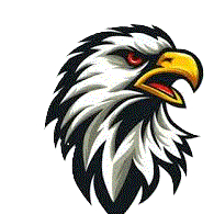 N5BH emblem