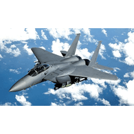 F-15 emblem