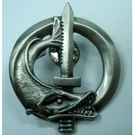 GSDIV emblem