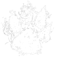 FNIR emblem