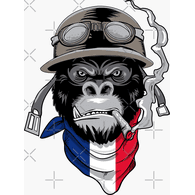 BMFR emblem