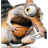 BR-HA emblem