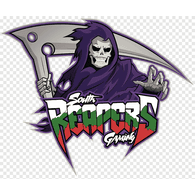 SR_BG emblem