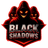 BLSHA emblem