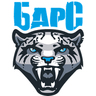 BARSS emblem