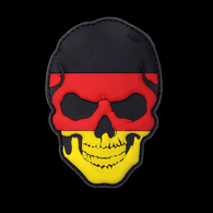 DDN emblem