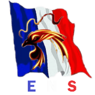 E-NS emblem