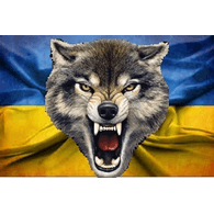 VOLK_ emblem