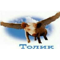 TOLIK emblem