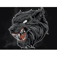 D_SW emblem